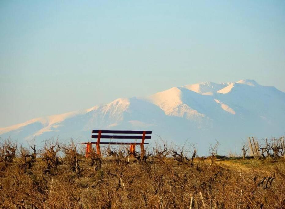 La Maison Des Vendangeurs Canet-en-Roussillon Dış mekan fotoğraf