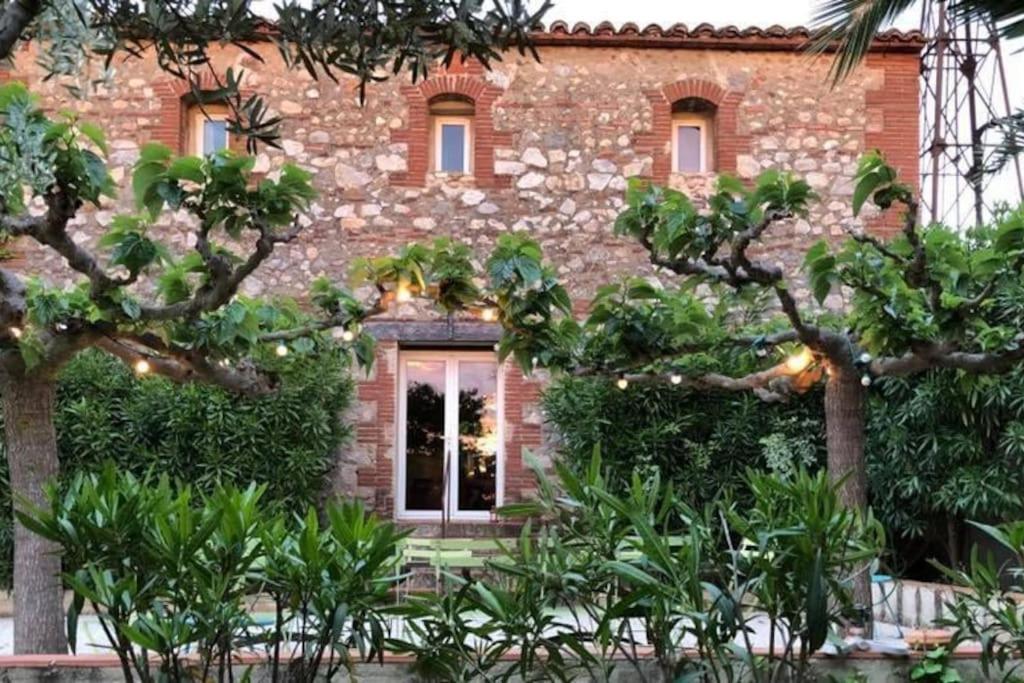 La Maison Des Vendangeurs Canet-en-Roussillon Dış mekan fotoğraf