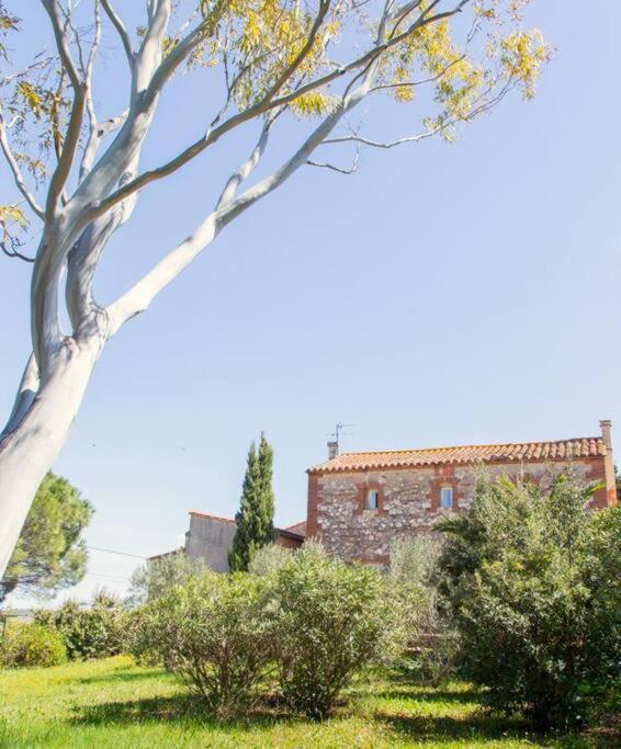 La Maison Des Vendangeurs Canet-en-Roussillon Dış mekan fotoğraf