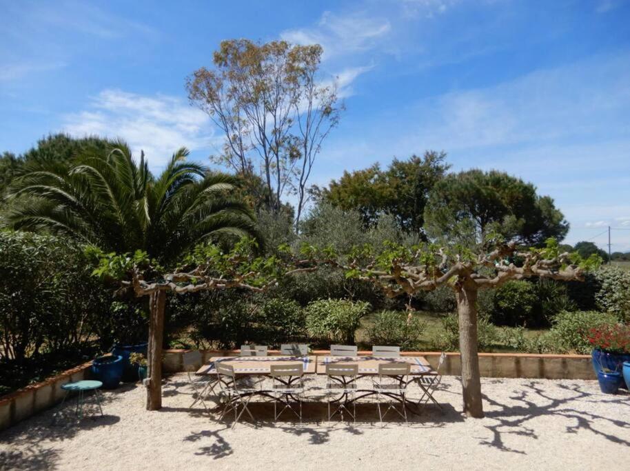 La Maison Des Vendangeurs Canet-en-Roussillon Dış mekan fotoğraf