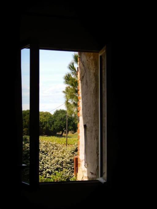 La Maison Des Vendangeurs Canet-en-Roussillon Dış mekan fotoğraf
