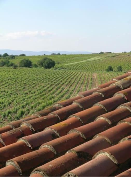 La Maison Des Vendangeurs Canet-en-Roussillon Dış mekan fotoğraf